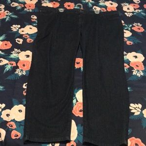 a.n.a 24W Dark Wash Skinny Jeans